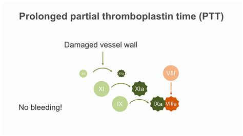 Interpreting the Partial Thromboplastin Time (PTT) - YouTube