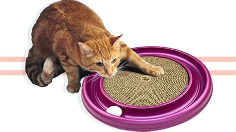 The 6 Best Toys For Large Cats