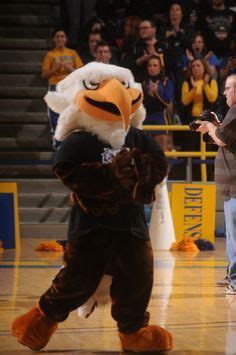 Morehead State Eagles mascot, Beaker the Eagle. | Morehead state university, Mascot, Team mascots