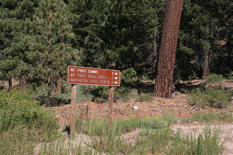 Mountain Biking on Mt Pinos in the Los Padres National Forest