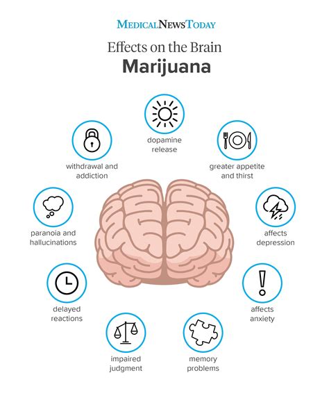 What are the effects of marijuana on the body?