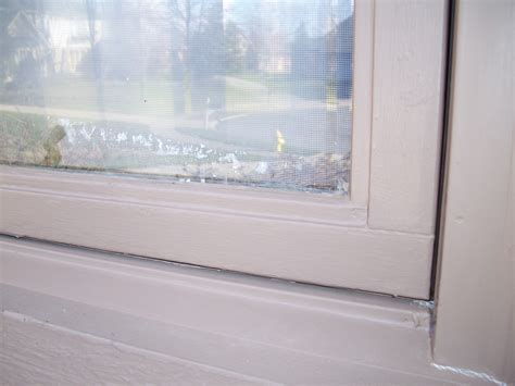 Caradco Window Replacement Screens - downifiles