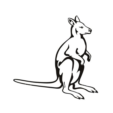 Wallabies PNG, Vector, PSD, and Clipart With Transparent Background for Free Download | Pngtree