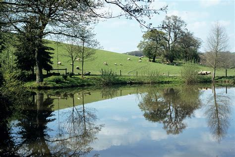 Bodenham Arboretum Photograph by Jim D Saul/science Photo Library