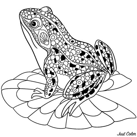 Indirecto Oscuro Tratamiento dibujos de ranas para colorear Sureste Trascendencia mucho