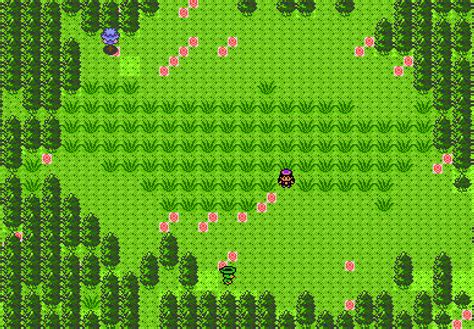 Forest | PokeWilds Wiki | Fandom