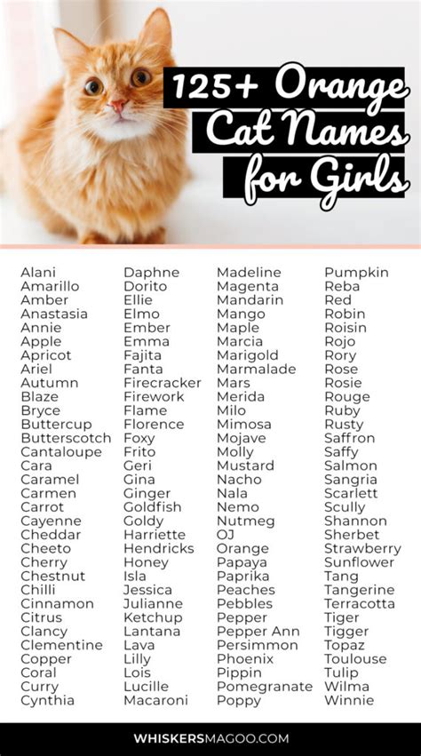 125+ Cute Orange Cat Names for Girl Cats - Whiskers Magoo