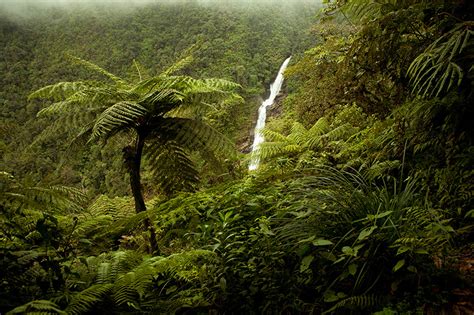 Chilascó: The highest waterfall in Central America (Guatemala) | The Family Without Borders