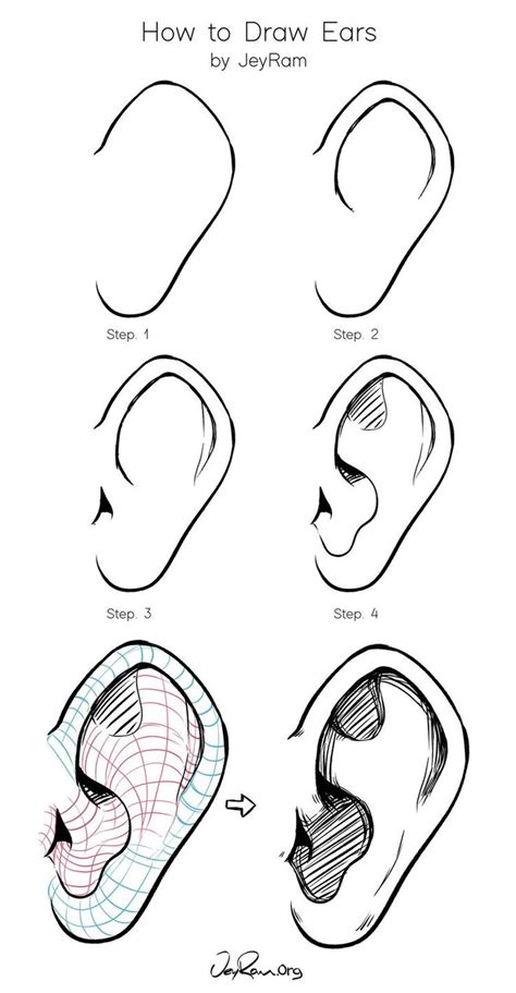 How to Draw Ears | Come disegnare, Disegno di capelli, Orecchio