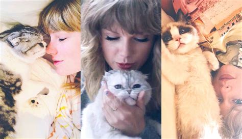 Endeared - Taylor Swift's Cats Are The Most Searched Celebrity Pets Of 2020