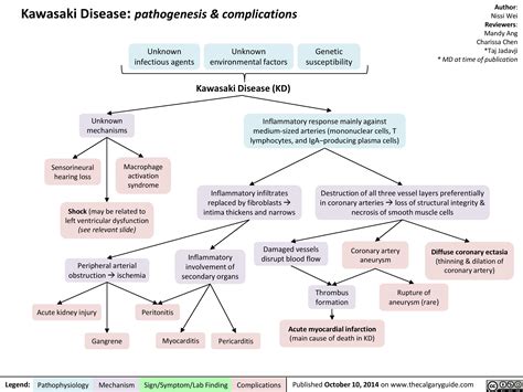 Kawasaki Disease: Pathogenesis and Complications | Calgary Guide