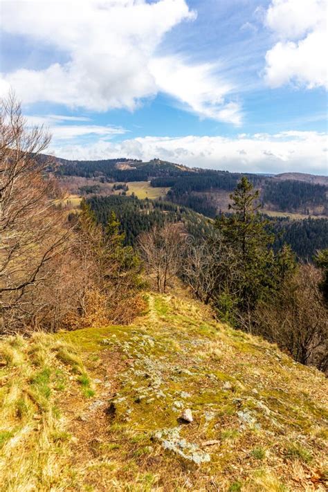 Spring Hike through the Thuringian Forest Near Floh-Seligenthal Stock ...