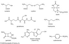 thiol | chemical compound | Britannica