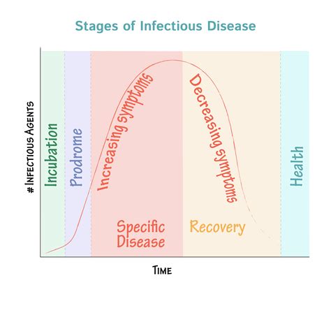 Stages Of An Infectious Disease - Quotes Trending