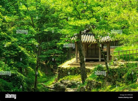 traditional Korean garden Stock Photo - Alamy