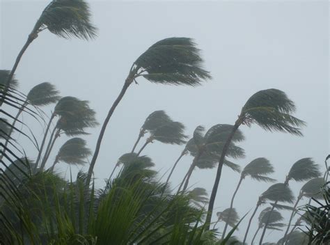 4 Damages a Category 1 Hurricane Can Cause