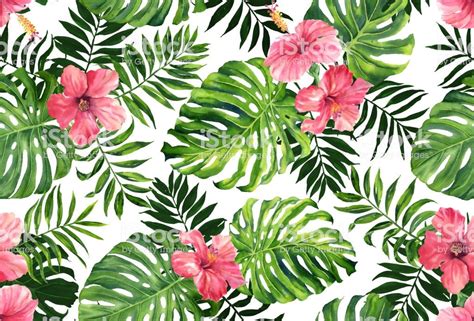 Seamless pattern with monstera and palm leaves on white... | Tropical art print, Monstera plant ...