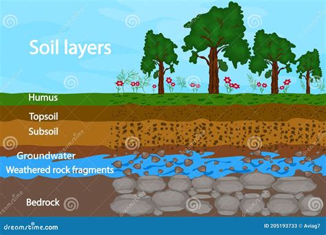 Soil Layers. Diagram For Layer Of Soil. Soil Layer Scheme. Cartoon ...