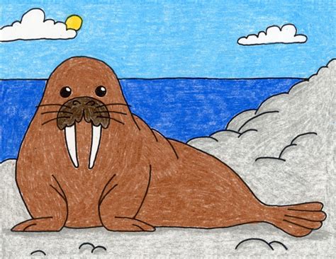 Easy How to Draw a Walrus Tutorial and Walrus Coloring Page | Kids art projects, Easy drawings ...