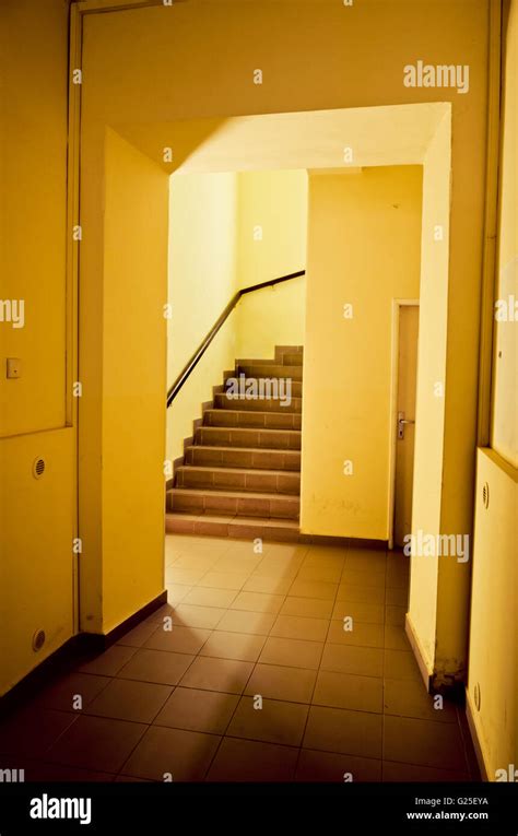 modern house interior with hall and stairs Stock Photo - Alamy