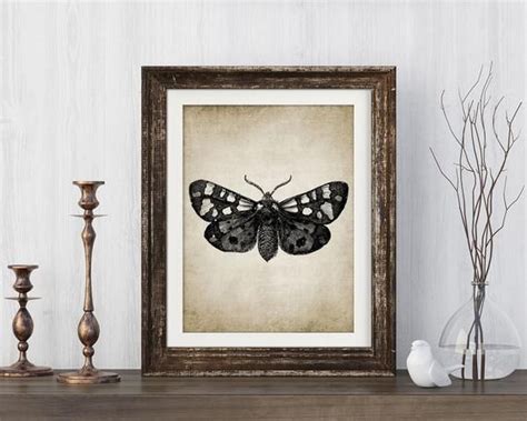 Moth Print - Moth Illustration - Moth Art - Moth Picture - Digital Art - Printable Art - Single ...