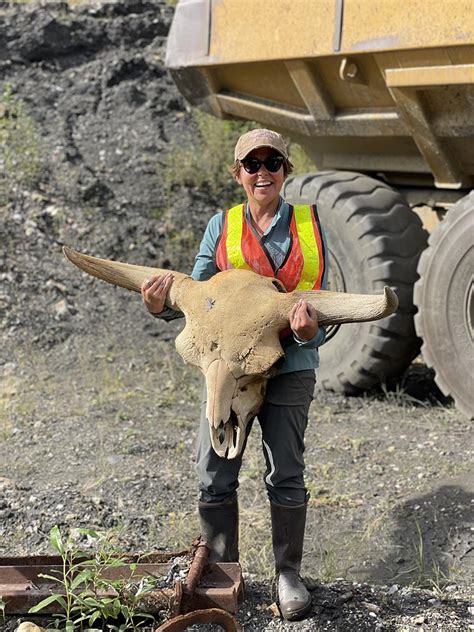 Ancient Bison DNA Might Help Explain Effects of Climate Change | NIH Record