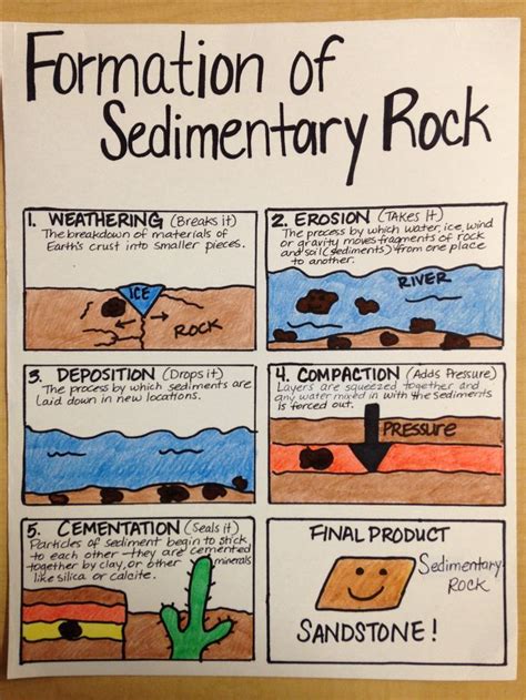 Formation of Sedimentary Rock … | Earth science lessons, Homeschool ...