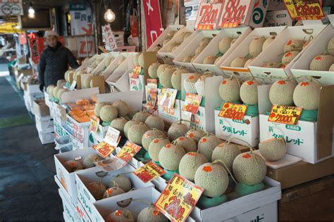 Japanese Melons: Indulge in the Extraordinary Sweetness of Japan's ...