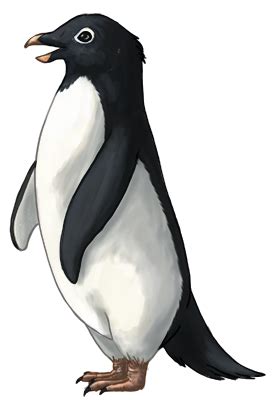 Adelie Penguin by TokoTime on DeviantArt