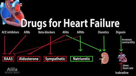 Pharmacology: Drugs for Heart Failure, Animation - YouTube