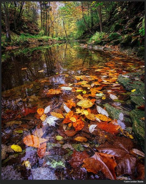 Autumn Stream by Jordan Steele / 500px | Nature scenes, Nature ...