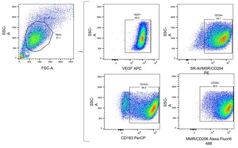 Flow Cytometry Panel: Flow Cytometry Kits