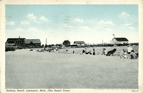 Bathing Beach at The Resort Town Lexington, MI