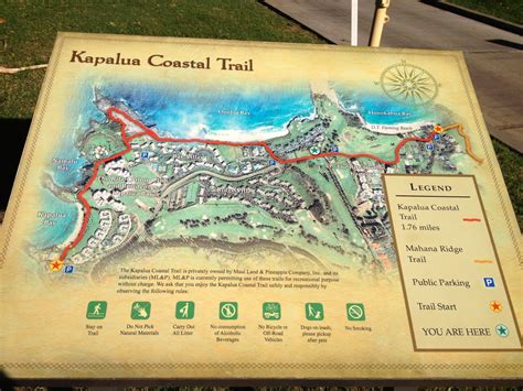 Maui Guide to Having Fun: Kapalua Coastal Trail