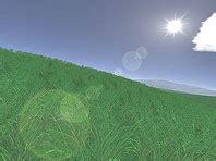 Green Fields 3D Screensaver – Discover the true meaning of freedom!