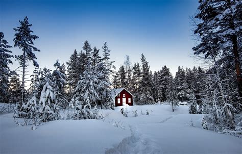 Wallpaper winter, forest, snow, trees, house, Sweden, Sweden, Storforsen Nature Reserve images ...