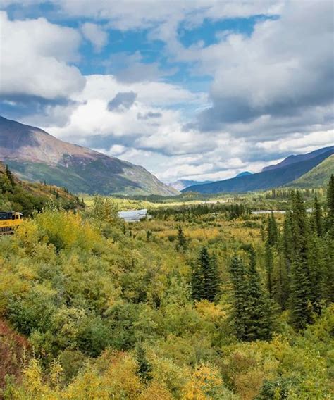 Denali National Park Tour & Wild Alaska Cruise | EF Go Ahead Tours