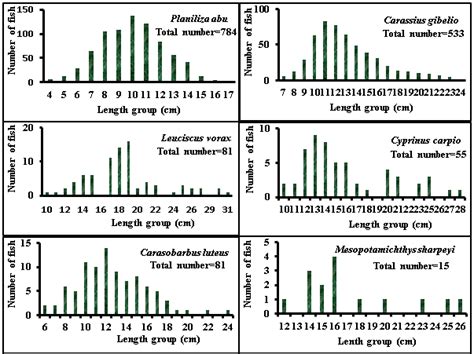 Length groups and distribution of fish size spectrums for the most ...