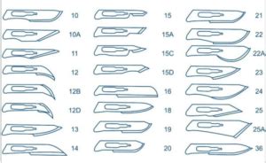 Scalpel Blade Types Chart