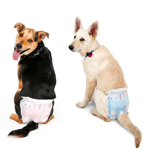 Flying Paws Disposable Female Dog Diapers, Puppy Diapers With Adjustable Elastic Waistline For ...