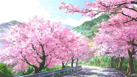 Anime Cherry Blossom Landscape Wallpapers - Wallpaper Cave