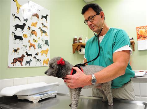 Maxwell veterinarian clinic offers services to four-legged family ...