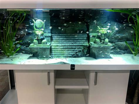 For those who love themed setups | Aquarium fish tank, Fish tank design ...