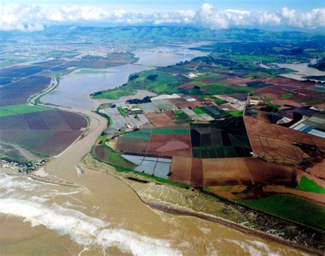 Pajaro River Flood Risk Management Project - Engineering With Nature