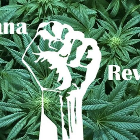 green-revolution-cannabis - Cannabis City - Seattle's Original Pot Shop ...