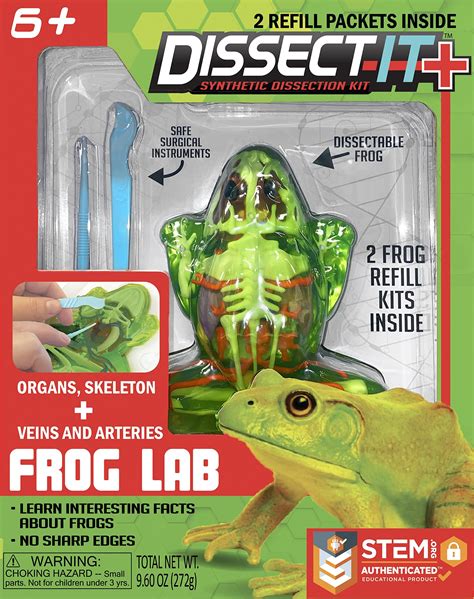 Dissect-It Plus Upgraded Frog Dissection Toy Kit, Realistic Lab ...