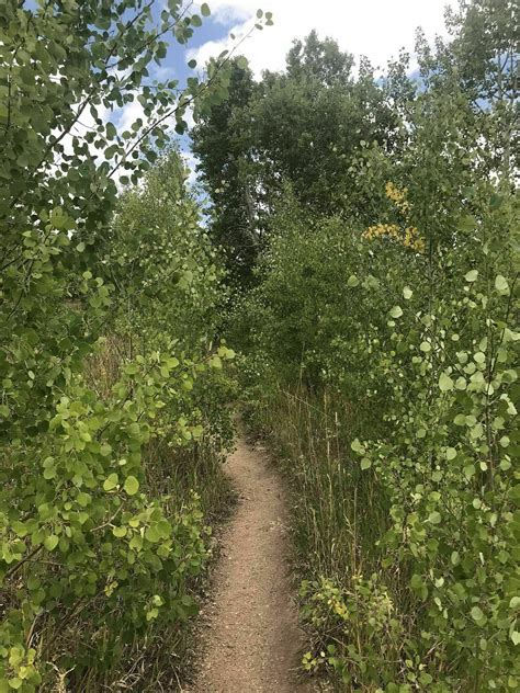 Burro Loop Trail - Colorado | AllTrails