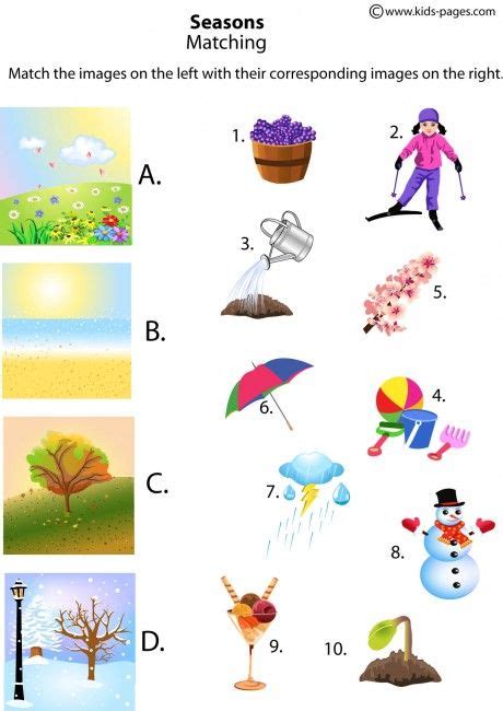 The Four Seasons Matching worksheet | Seasons worksheets, Seasons ...