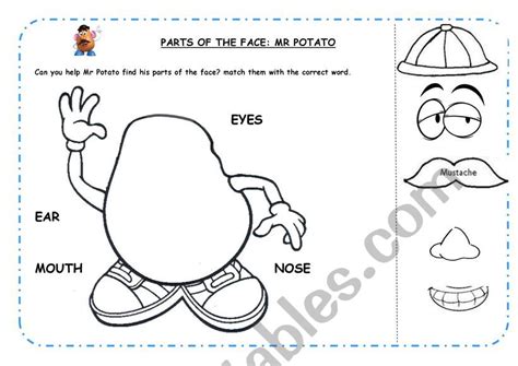 Mr Potato Head Parts Worksheets