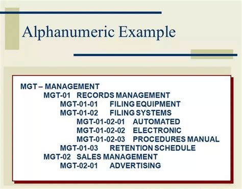 What Are Alphanumeric Characters? - The Education